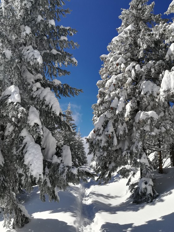 Náhled obrázku: IMG_20210322_111608.jpg