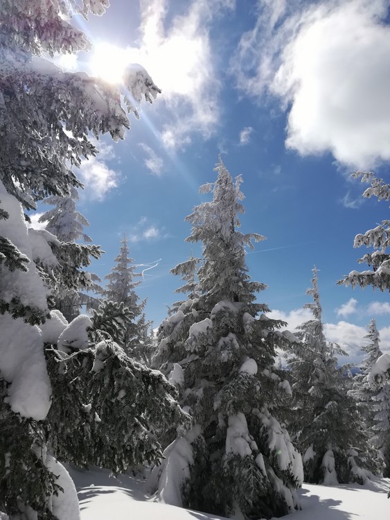 Náhled obrázku: IMG_20210322_112159.jpg