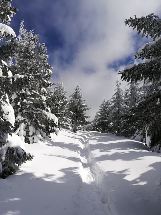 Náhled obrázku: IMG_20210322_112211.jpg