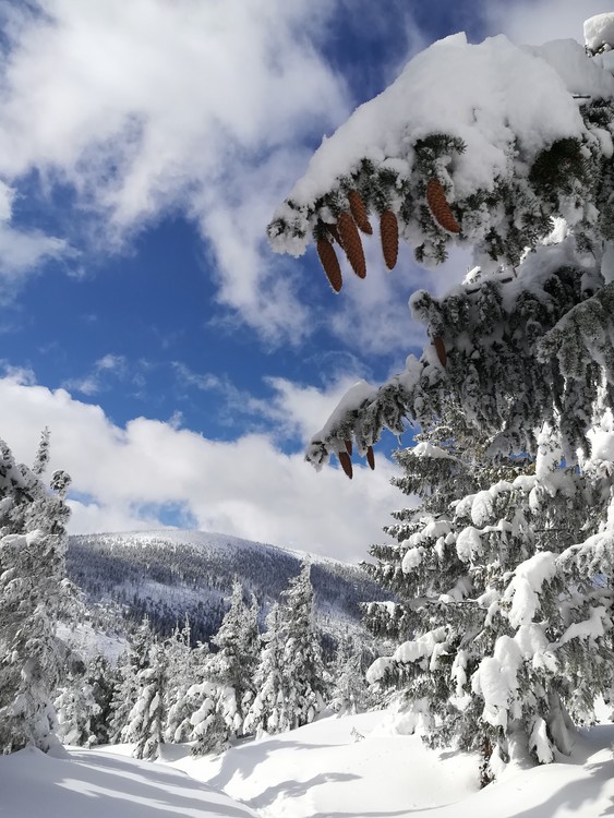 Náhled obrázku: IMG_20210322_112224.jpg