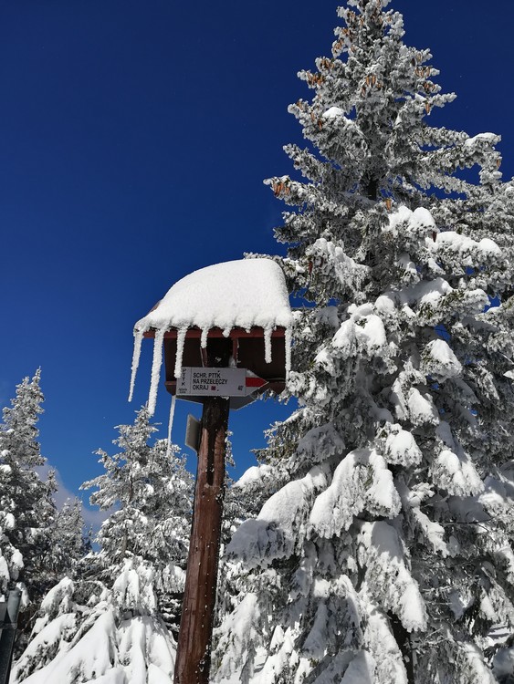 Náhled obrázku: IMG_20210322_112644.jpg