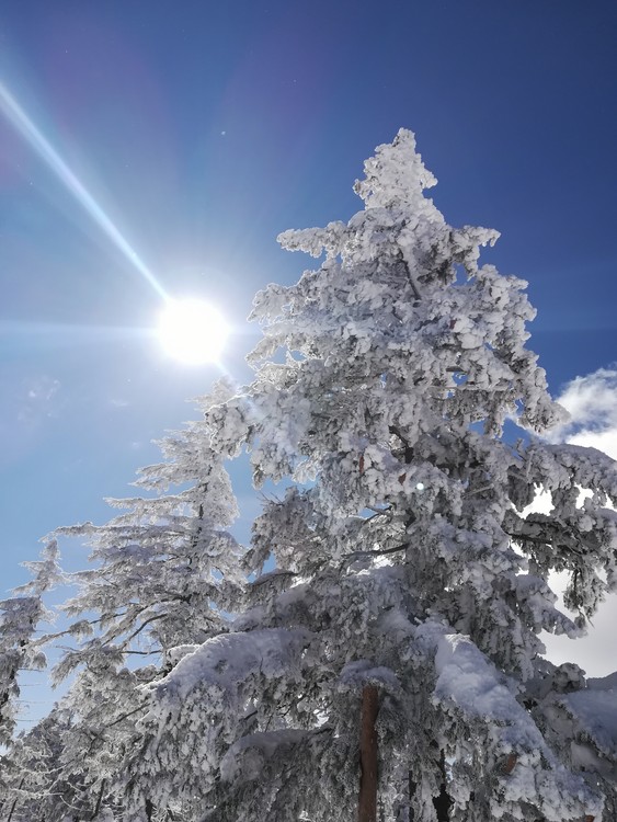 Náhled obrázku: IMG_20210322_112756.jpg