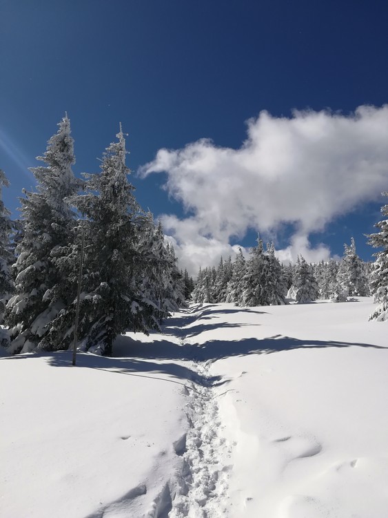 Náhled obrázku: IMG_20210322_113202.jpg