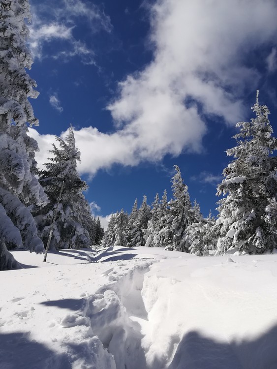 Náhled obrázku: IMG_20210322_113246.jpg