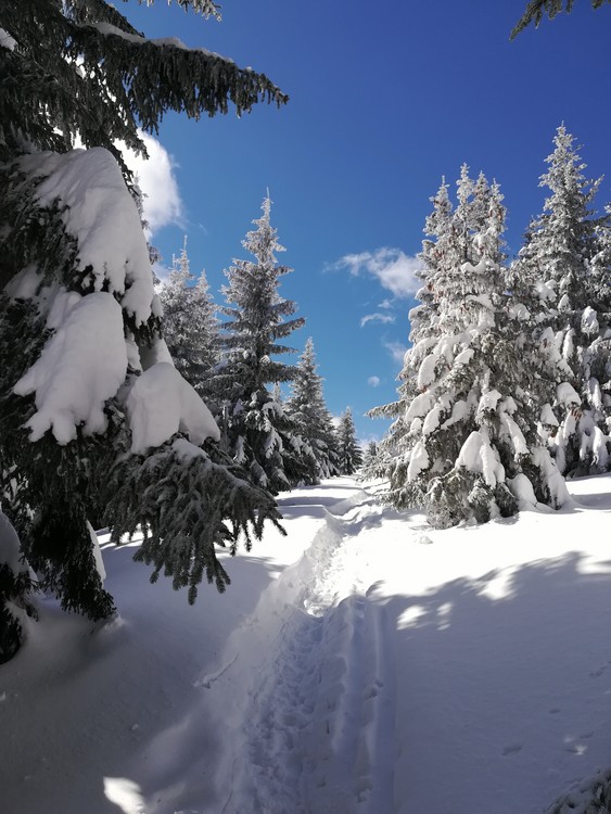 Náhled obrázku: IMG_20210322_113550.jpg