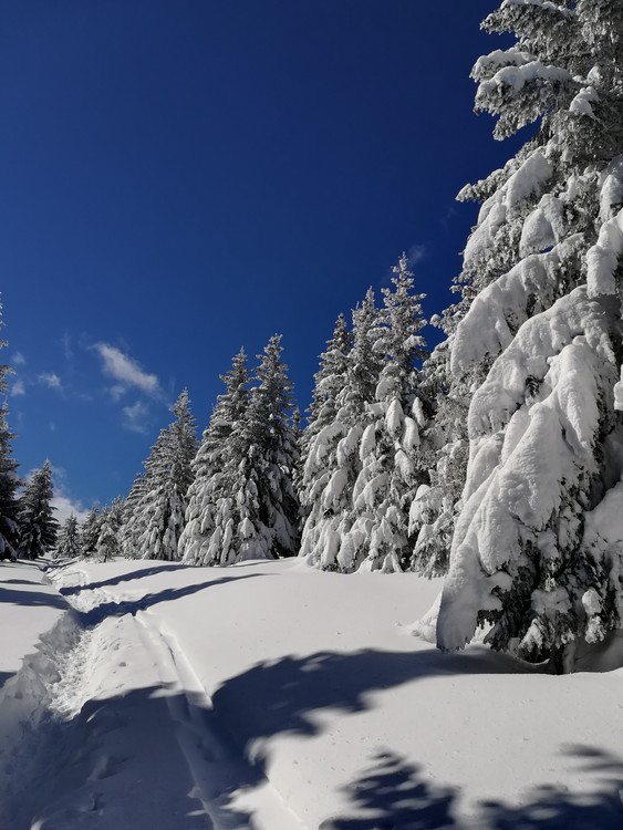 Náhled obrázku: IMG_20210322_113615.jpg