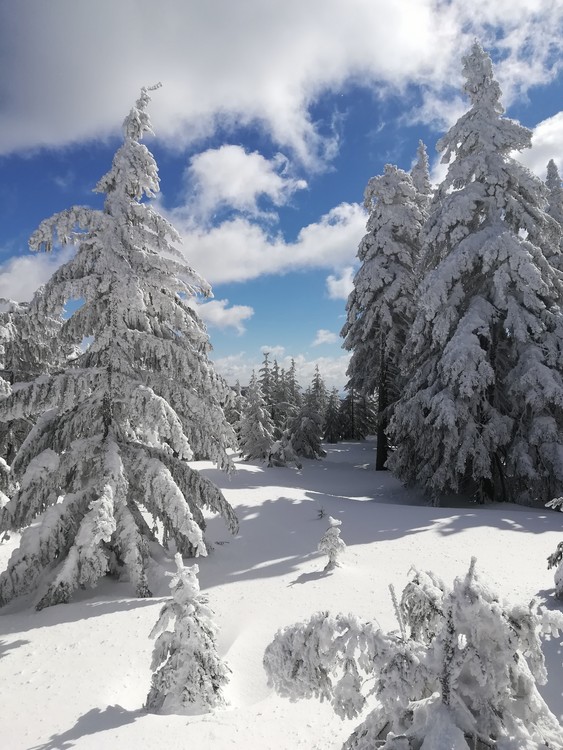 Náhled obrázku: IMG_20210322_114231.jpg