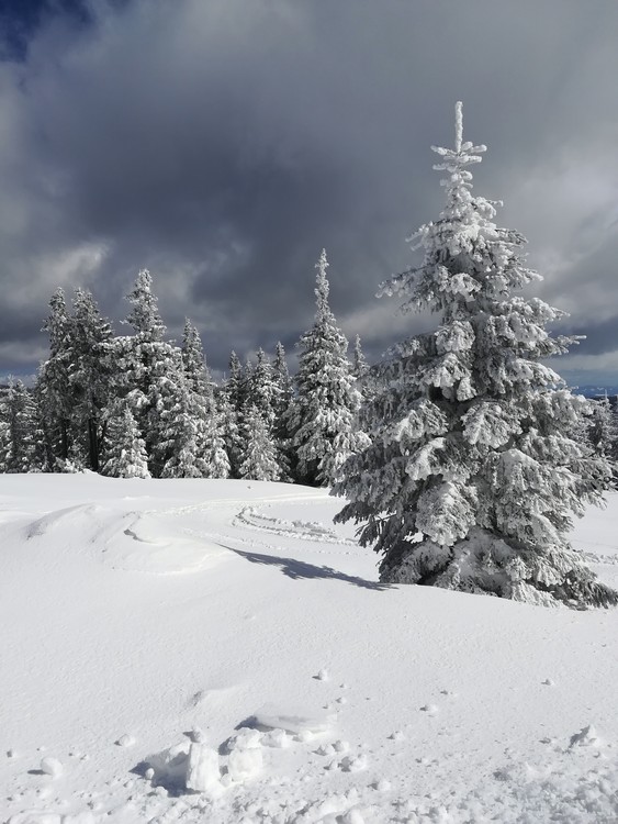 Náhled obrázku: IMG_20210322_114929.jpg