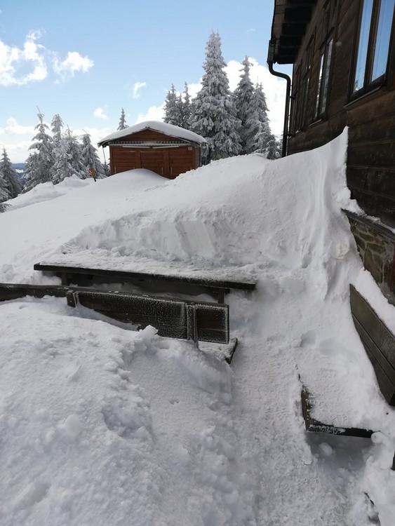 Náhled obrázku: IMG_20210322_115205.jpg