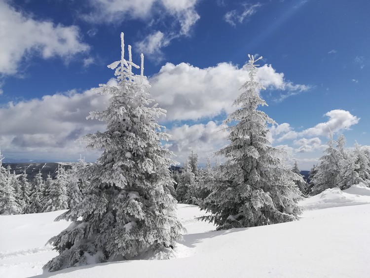 Náhled obrázku: IMG_20210322_115453.jpg