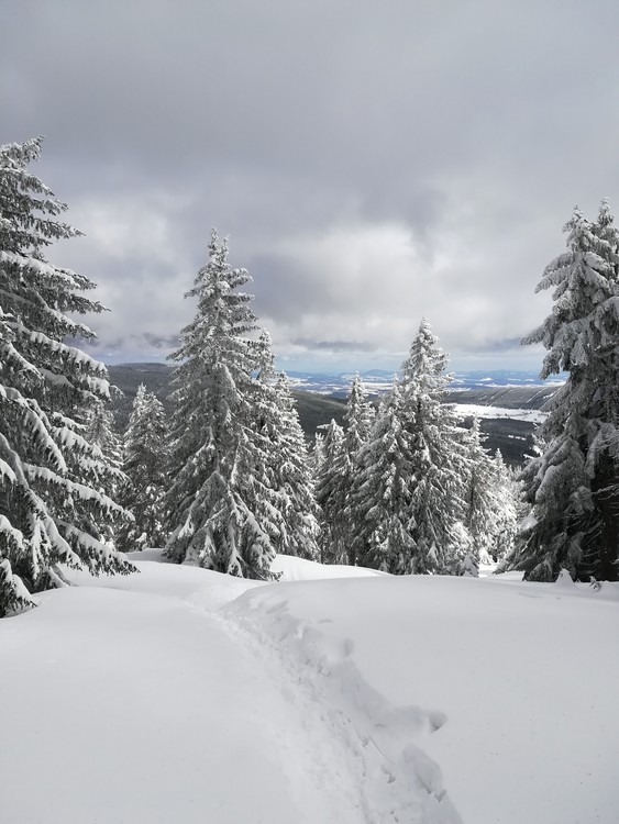 Náhled obrázku: IMG_20210322_120331.jpg