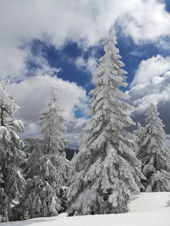 Náhled obrázku: IMG_20210322_120802.jpg