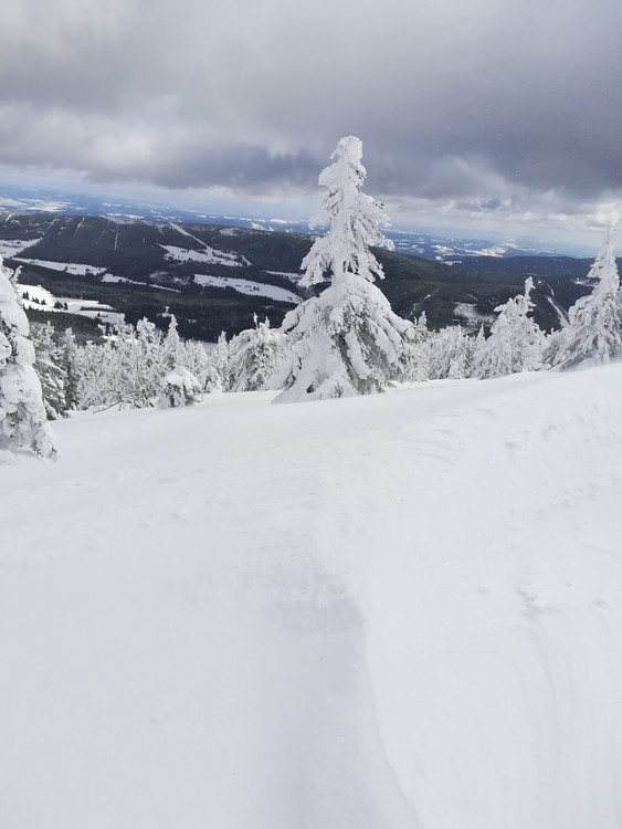 Náhled obrázku: IMG_20210322_121511.jpg