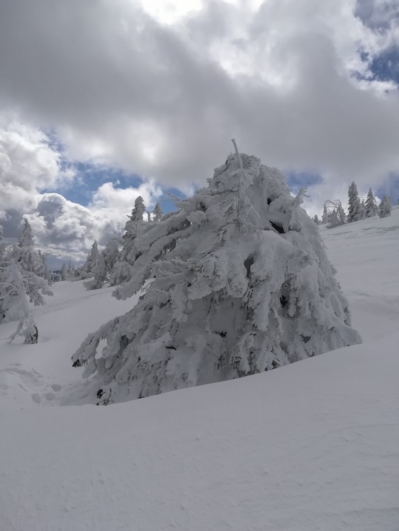 Náhled obrázku: IMG_20210322_121932.jpg