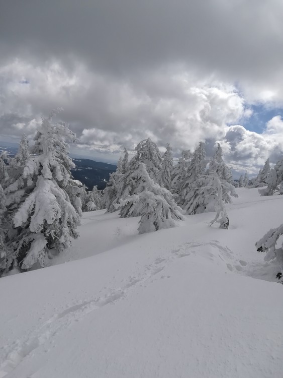 Náhled obrázku: IMG_20210322_121935.jpg