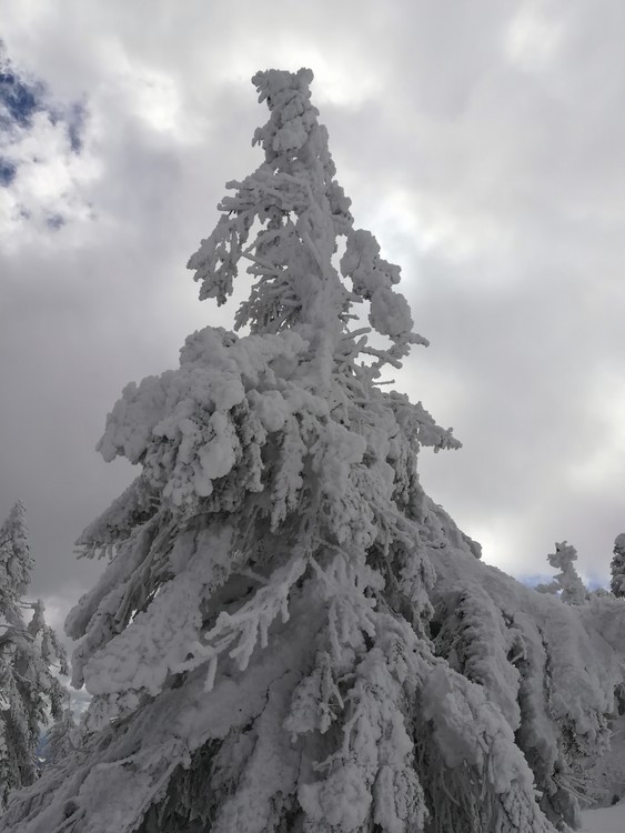 Náhled obrázku: IMG_20210322_122025.jpg