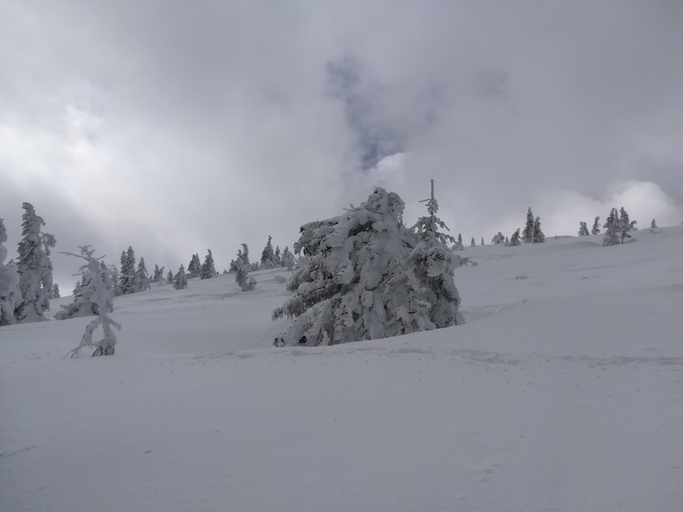 Náhled obrázku: IMG_20210322_122028.jpg