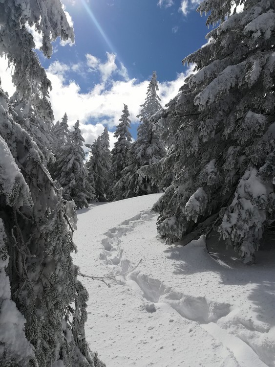 Náhled obrázku: IMG_20210322_122452.jpg