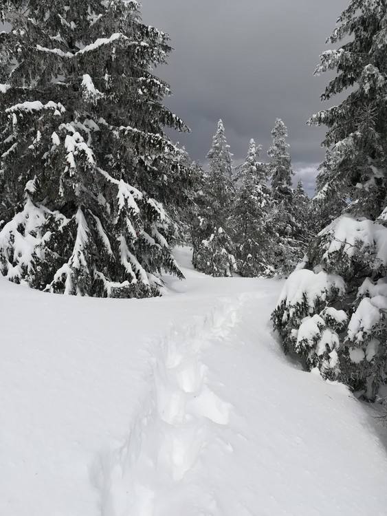 Náhled obrázku: IMG_20210322_122641.jpg