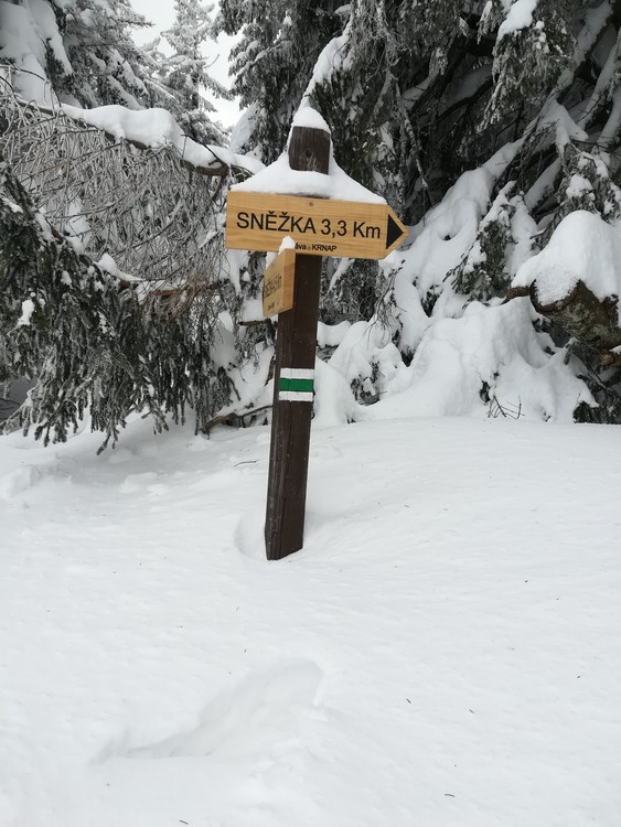 Náhled obrázku: IMG_20210322_124238.jpg