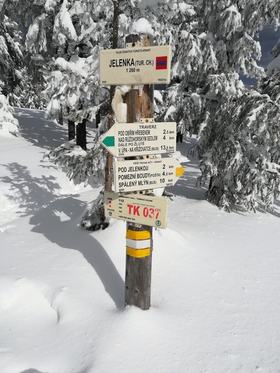 Náhled obrázku: IMG_20210322_124620.jpg