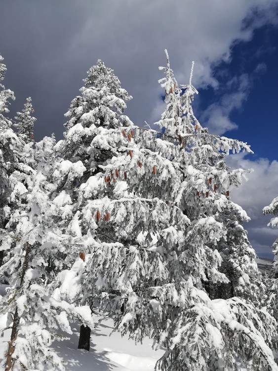 Náhled obrázku: IMG_20210322_124632.jpg