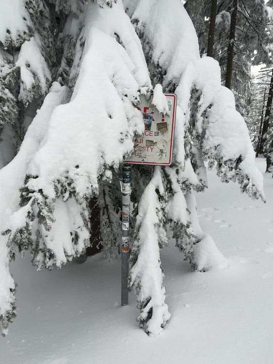 Náhled obrázku: IMG_20210322_124844.jpg