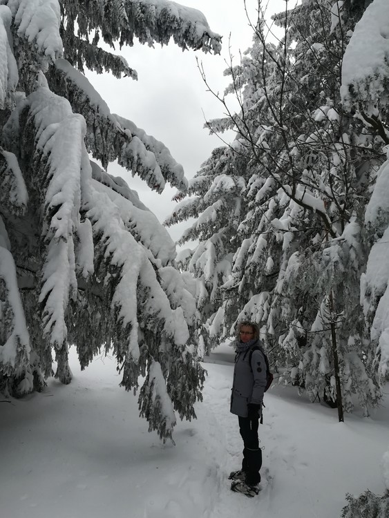 Náhled obrázku: IMG_20210322_125249.jpg