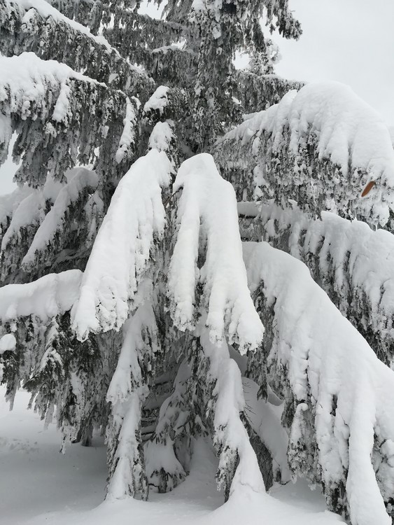 Náhled obrázku: IMG_20210322_125457.jpg