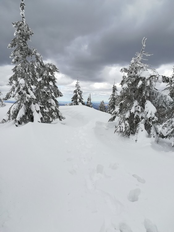 Náhled obrázku: IMG_20210322_130938.jpg