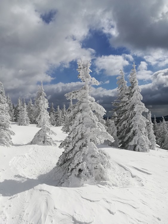 Náhled obrázku: IMG_20210322_132517.jpg