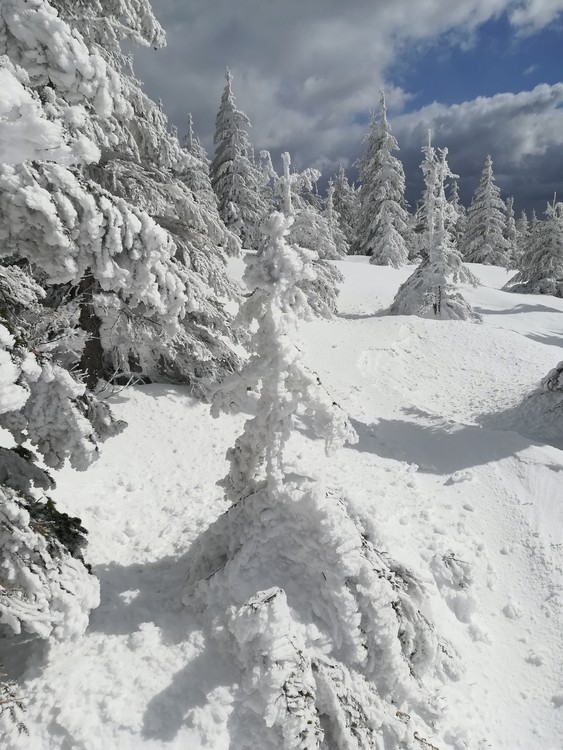 Náhled obrázku: IMG_20210322_132531.jpg