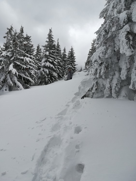 Náhled obrázku: IMG_20210322_133528.jpg