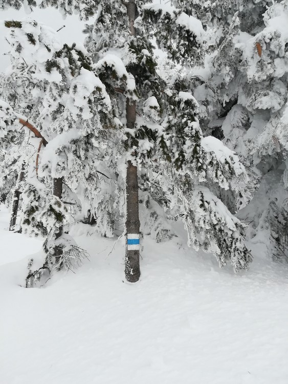 Náhled obrázku: IMG_20210322_133847.jpg