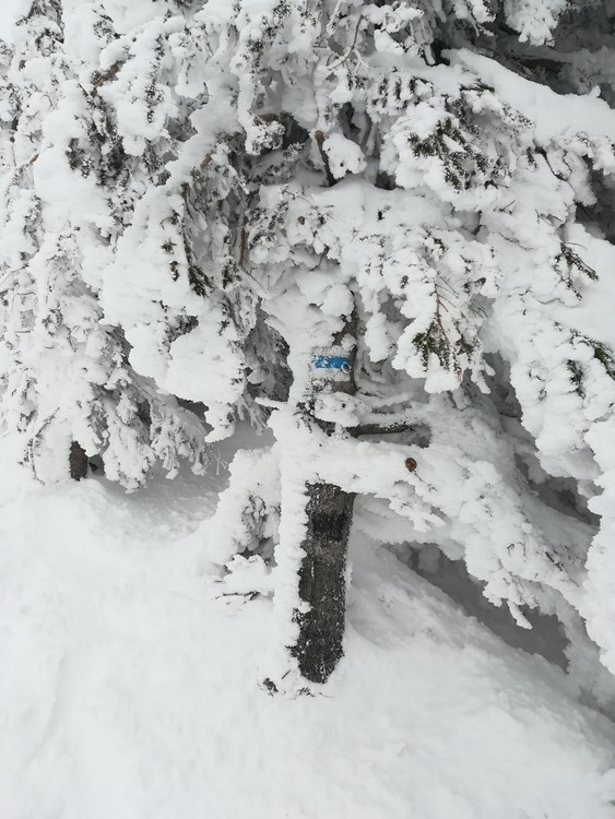 Náhled obrázku: IMG_20210322_134815.jpg