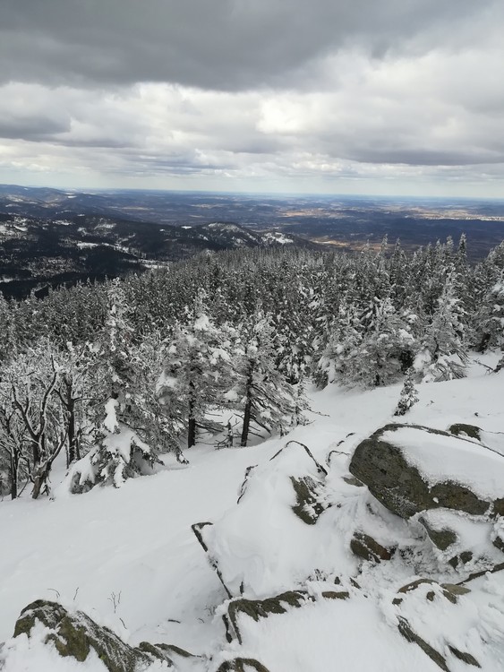 Náhled obrázku: IMG_20210322_135125.jpg