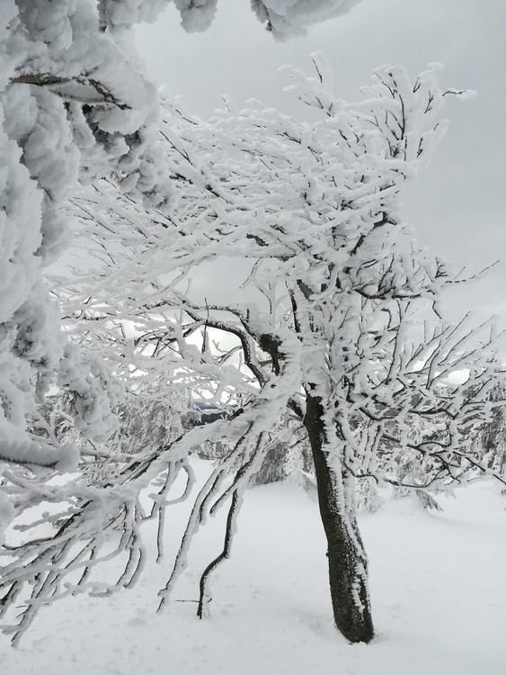 Náhled obrázku: IMG_20210322_135334.jpg