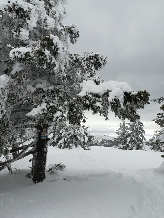 Náhled obrázku: IMG_20210322_135409.jpg