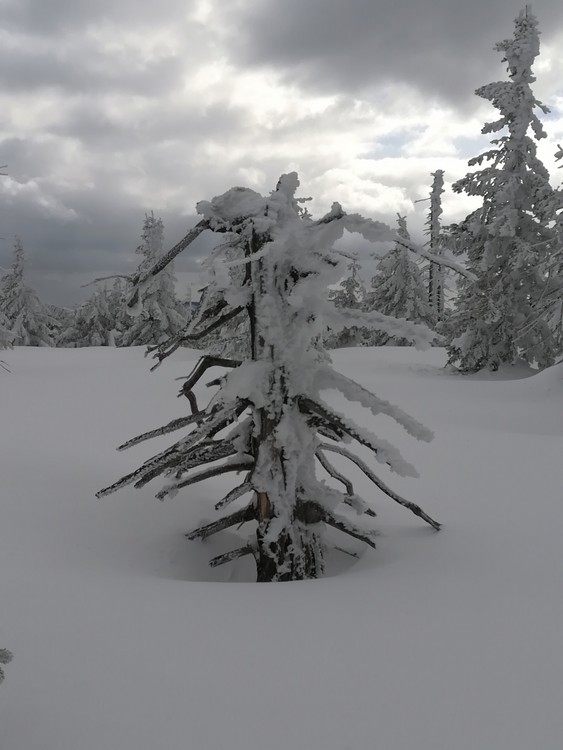 Náhled obrázku: IMG_20210322_140642.jpg