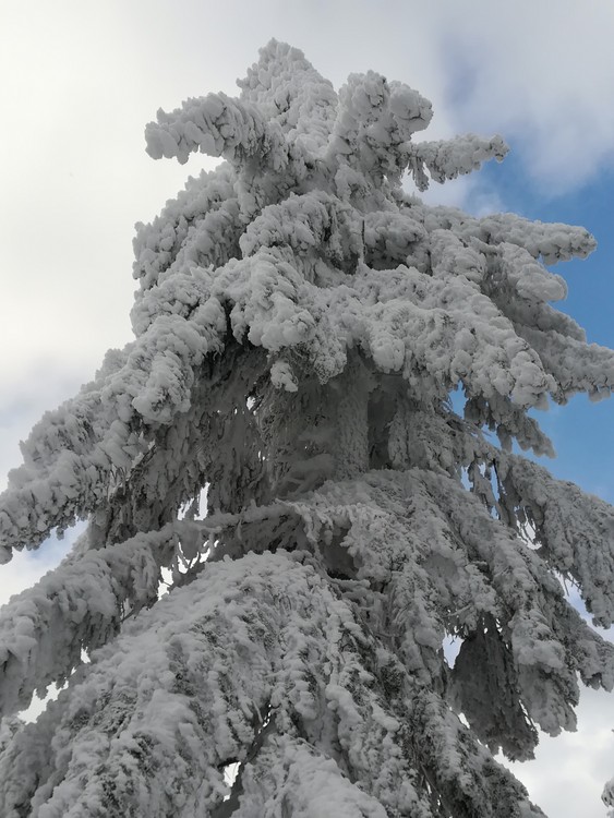 Náhled obrázku: IMG_20210322_141325.jpg