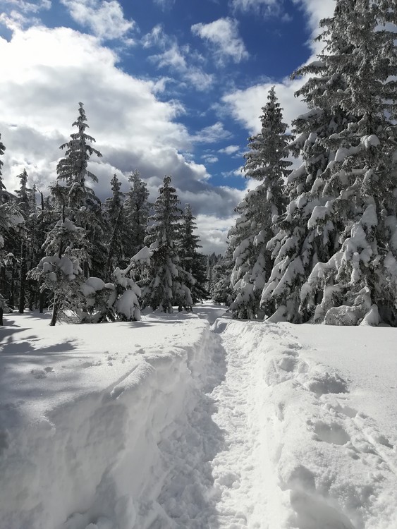 Náhled obrázku: IMG_20210322_141948.jpg