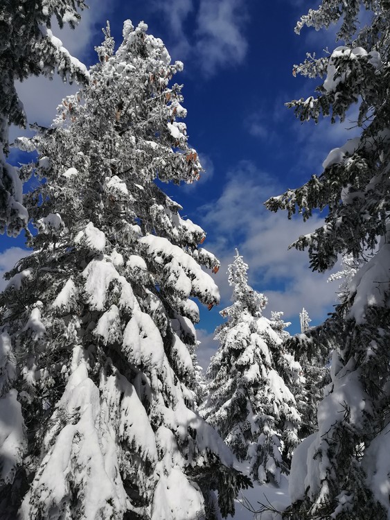 Náhled obrázku: IMG_20210322_142042.jpg