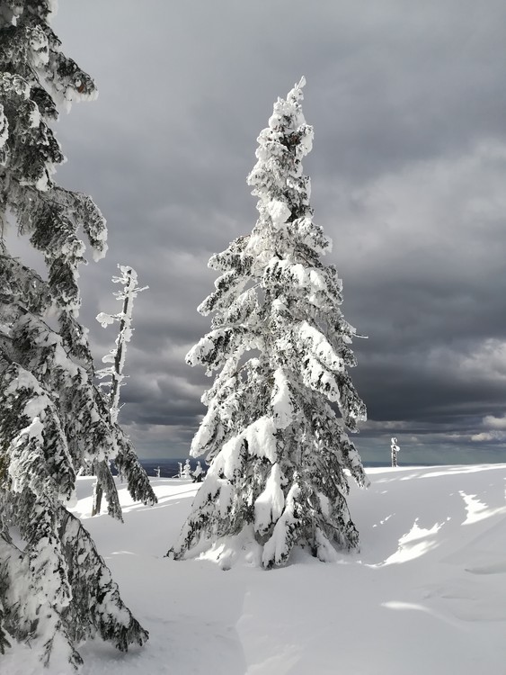 Náhled obrázku: IMG_20210322_142154.jpg