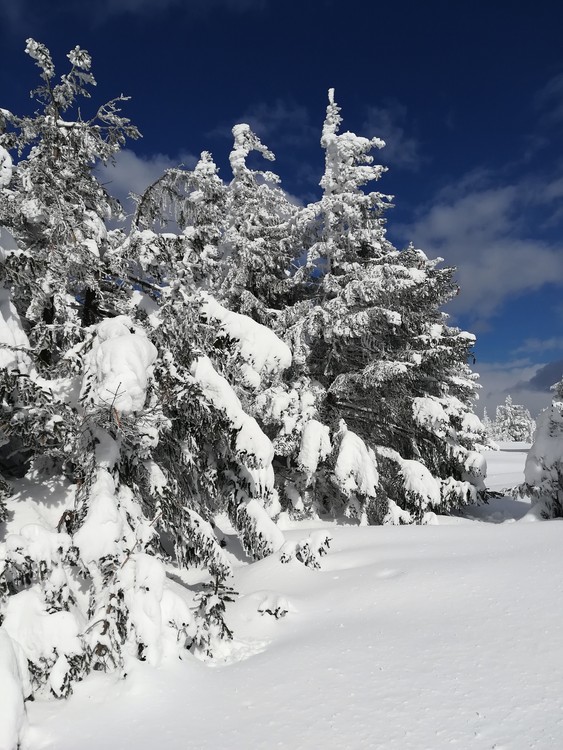 Náhled obrázku: IMG_20210322_142159.jpg