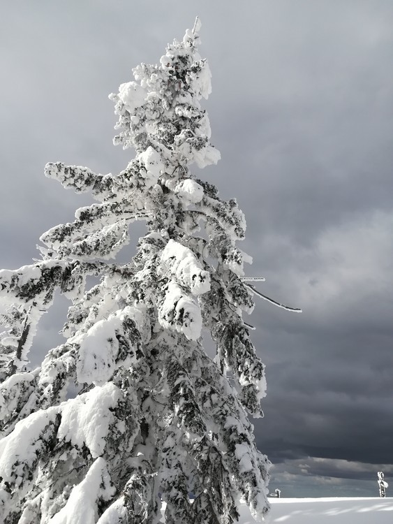 Náhled obrázku: IMG_20210322_142214.jpg