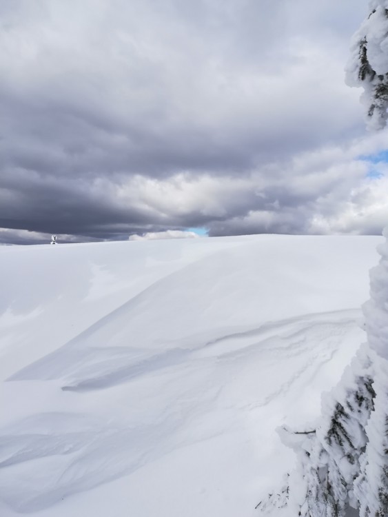 Náhled obrázku: IMG_20210322_142223.jpg