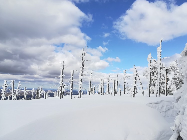 Náhled obrázku: IMG_20210322_142247.jpg