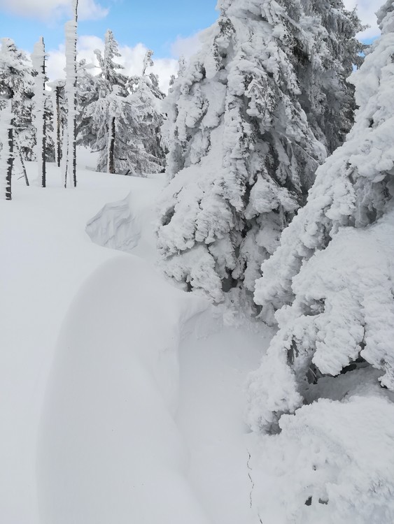 Náhled obrázku: IMG_20210322_142430.jpg