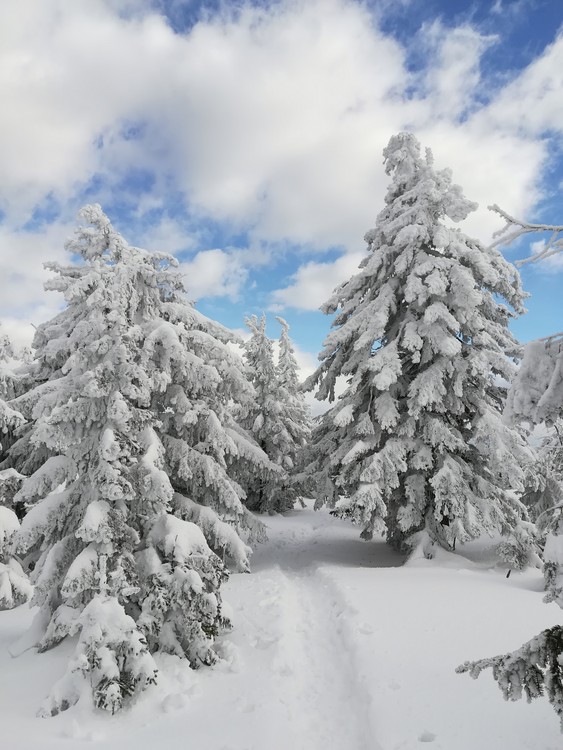 Náhled obrázku: IMG_20210322_145548.jpg