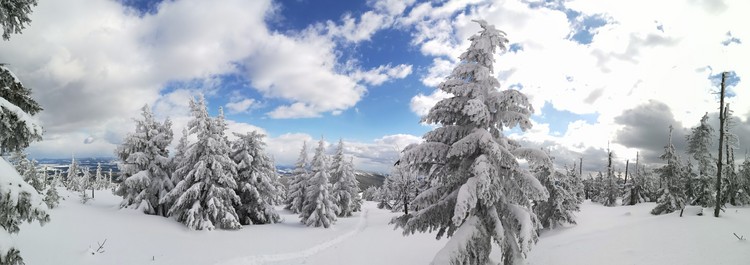 Náhled obrázku: IMG_20210322_145640.jpg